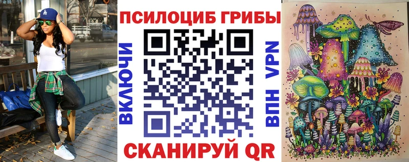 Галлюциногенные грибы Cubensis  Купить  Котово 